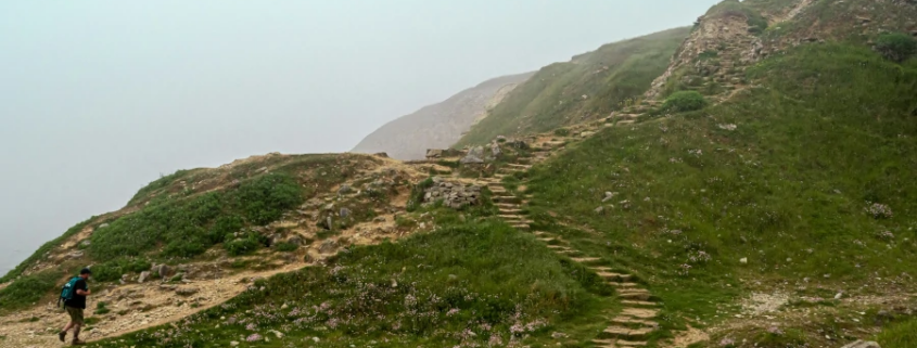 Ein Wanderer mit Rucksack geht einen in den Hang gehauenen Treppenpfad hinauf, der sich im dichten Nebel verliert – Sinnbild dafür, dass Erfahrung allein nicht durch die Unsicherheit führt