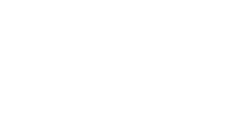 Logo von Bora