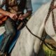 Nahaufnahme eines Reiters auf einem weißen Pferd, der die Zügel hält – Sinnbild für Können, das sich erst im echten Umgang zeigt, nicht in der einmaligen Simulation