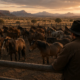 KI-generiertes Bild: Ein Mann im Cowboyhut blickt über eine große, einander sehr ähnliche Pferdeherde in einem Wüstencorral – symbolisch dafür, dass sich der eine außergewöhnliche Verkäufer im Vorfeld kaum von der Masse unterscheiden lässt.